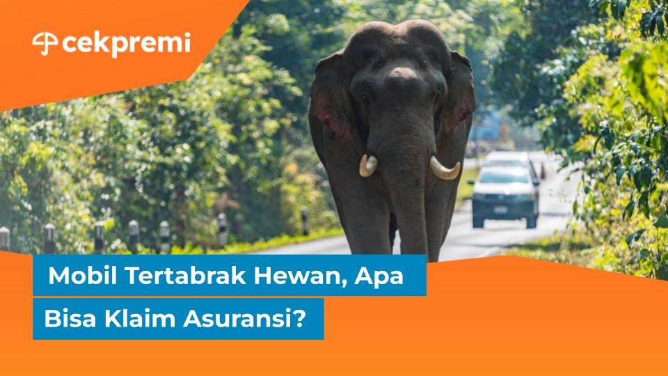 Mobil Tertabrak Hewan, Apa Bisa Klaim&nbsp;Asuransi?